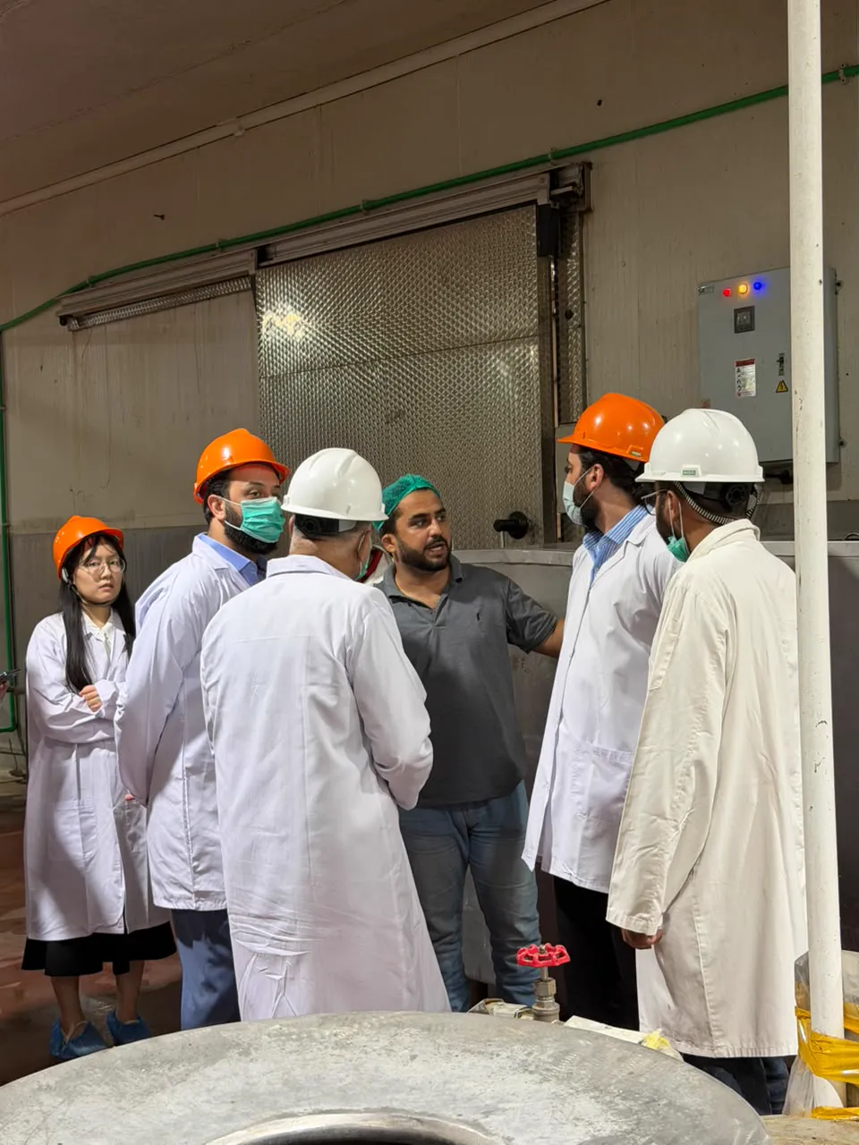 Industrial site visit with engineers in hard hats